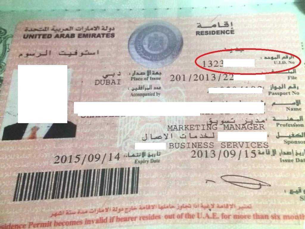 UAE 3 Months Visit Visa Price