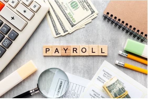 Why You Need to Study Payroll Management: A Comprehensive Guide
